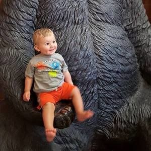 Meet your Posher, Diana