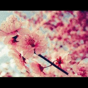 Meet your Posher, Yaritza