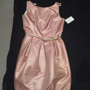 Eliza J Gold and Pink Dress