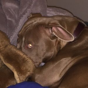 Meet your Posher, Milla