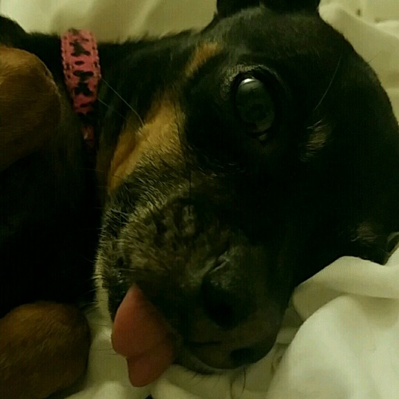 Meet your Posher, Tanya - Picture 5 of 6