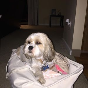 Meet your Posher, Elzbieta