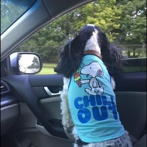 Meet your Posher, Shannon