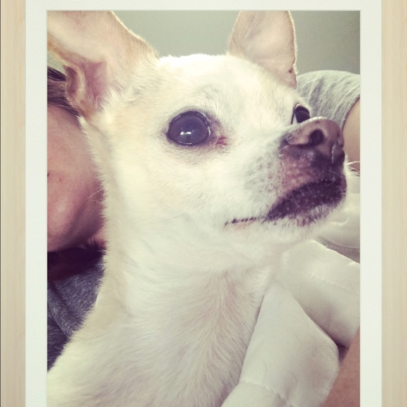 Meet your Posher, Katie - Picture 4 of 4