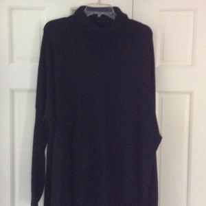 Garnet Hill Turtleneck Tunic