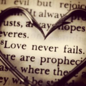 Meet your Posher, Ray