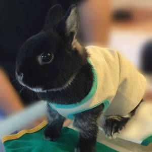 Meet your Posher, Teresa