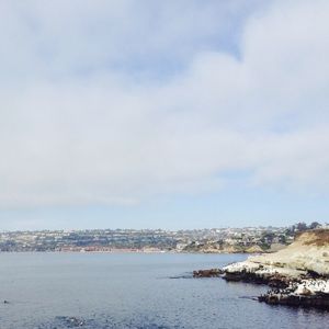 Meet your Posher, Shay