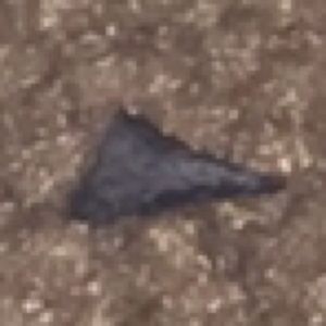 Meet your Posher, Paul