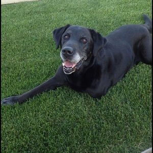 Meet your Posher, Stacey