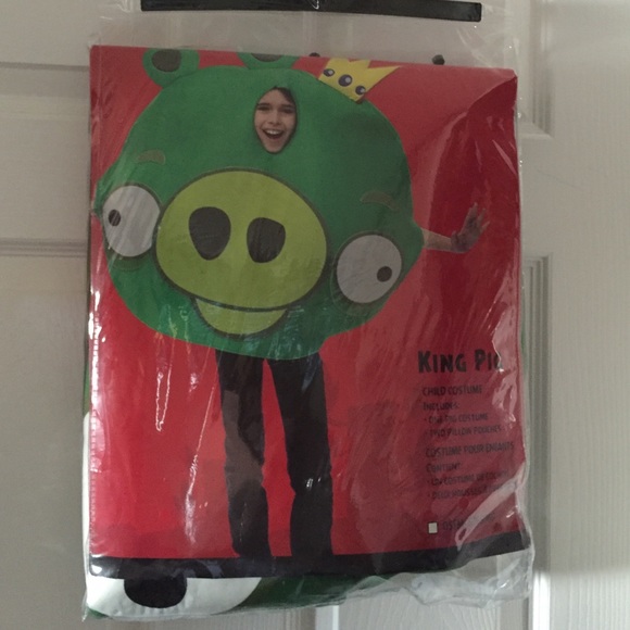 Angry Birds pig costume