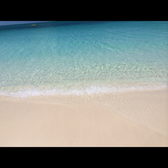 Meet your Posher, Savanna - Picture 1 of 1