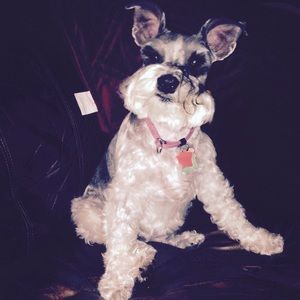 Meet your Posher, Karen