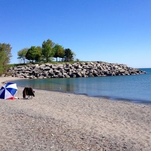 Meet your Posher, Delaney