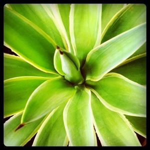 Meet your Posher, Haley