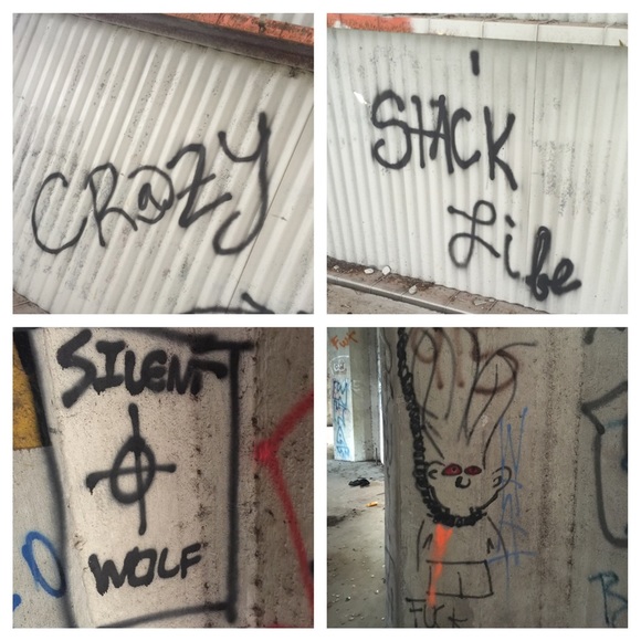 Meet Your Seller-100#s down, 90#s to go! - Picture 3 of 5