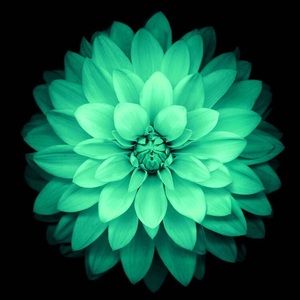 Meet your Posher, Margaret