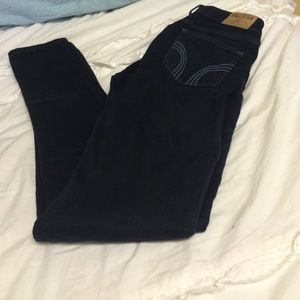 Hollister Jean