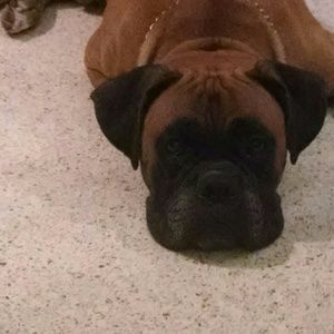 Meet your Posher, Lana