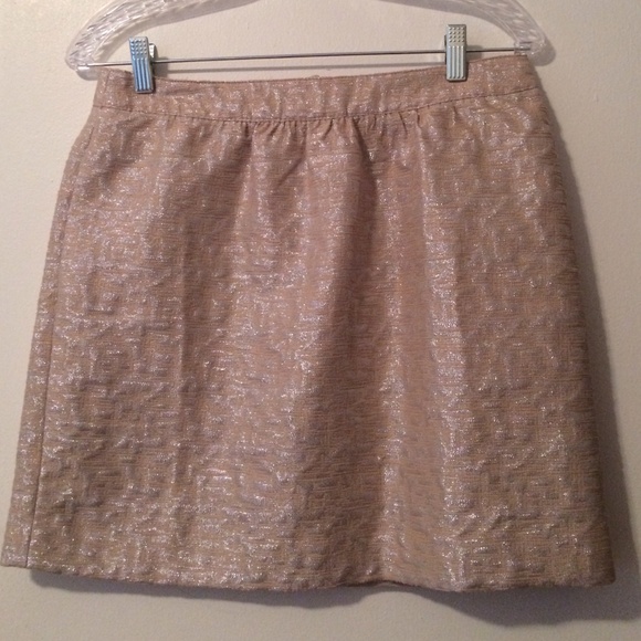 Ann Taylor Loft Cocktail Skirt