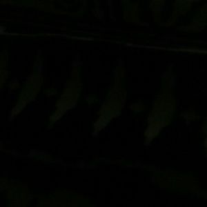 Meet your Posher, Nia