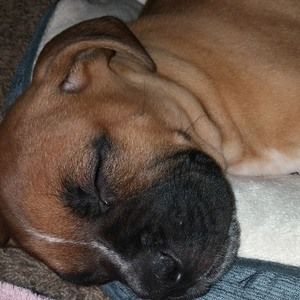 Meet your Posher, Brandy