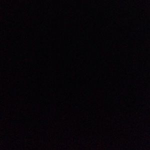 Meet your Posher, Lily