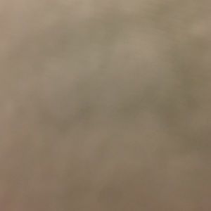 Meet your Posher, Monique