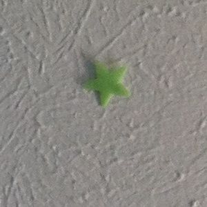 Meet your Posher, Anya