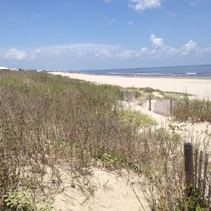 Meet your Posher, Randi