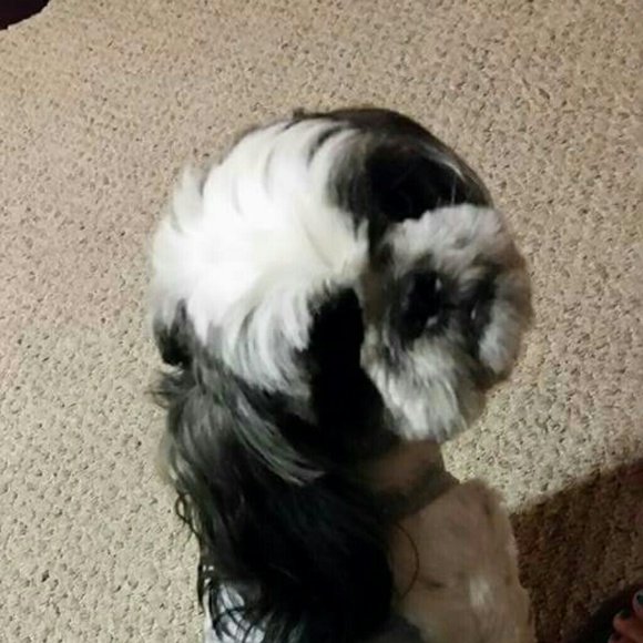 Meet your Posher, Michaela