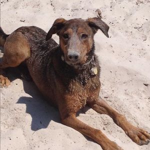 Meet your Posher, Brittany