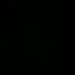 Meet your Posher, Candice