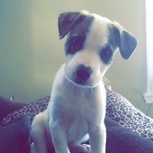 Meet your Posher, Tara