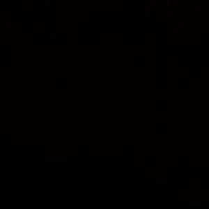 Meet your Posher, Katelyn