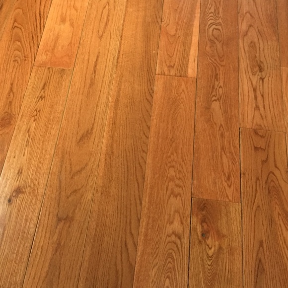 Meet your Posher, Janessa