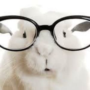 Meet your Posher, Stella