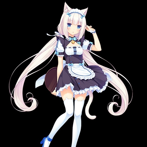 Meet your Posher, Sierra - Picture 1 of 1