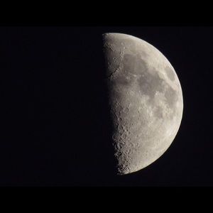 Meet your Posher, Lina