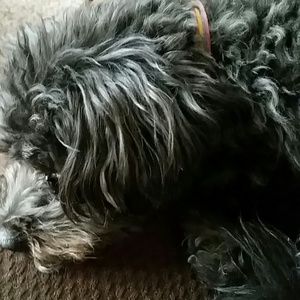 Meet your Posher, Valerie