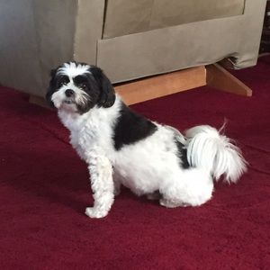 Meet your Posher, Laura