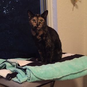 Meet your Posher, Patrick