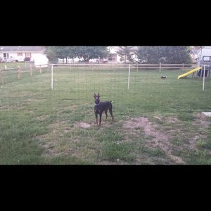 Meet your Posher, Louise