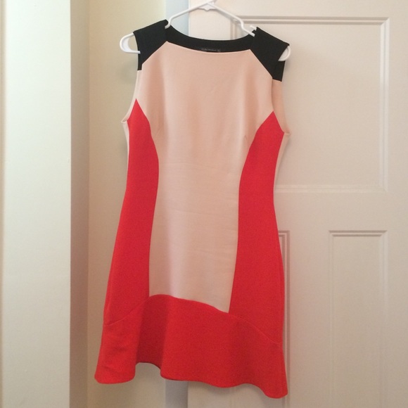 Zara Fit and Flare Dress | Pink, Red + Black