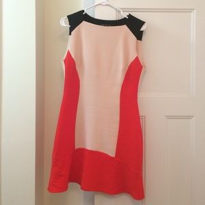 Zara Fit and Flare Dress | Pink, Red + Black