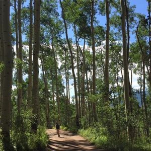 Meet your Posher, A.