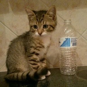 Meet your Posher, Leah