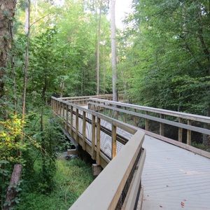 Meet your Posher, Alina