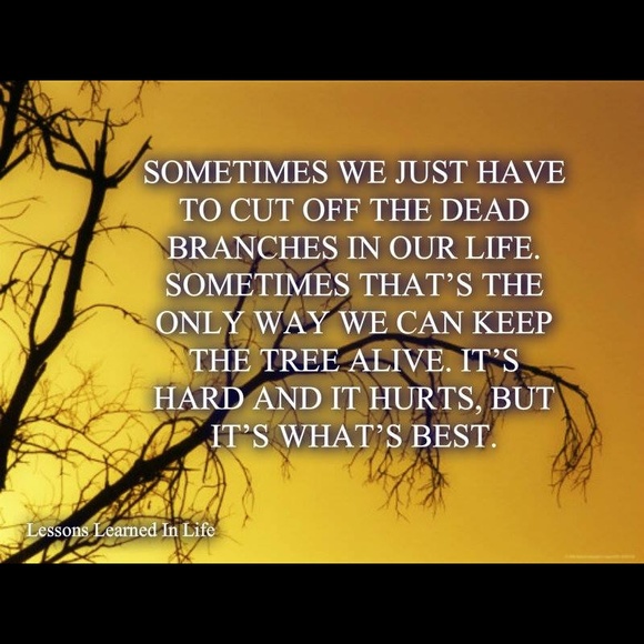 Meet your Posher, A - Picture 4 of 4