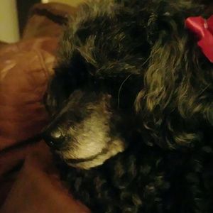 Meet your Posher, Angela